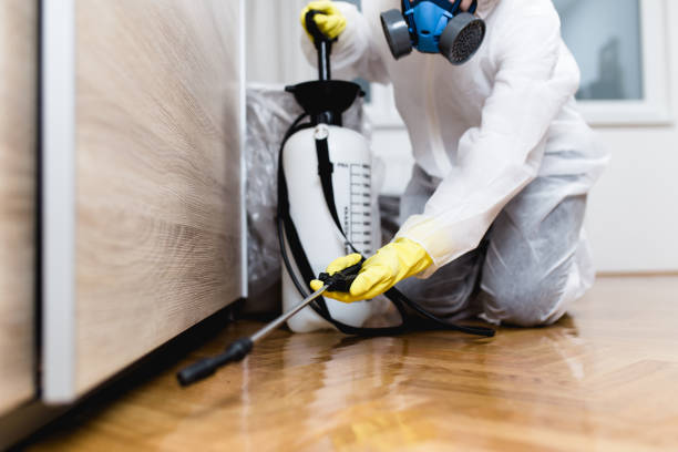 Best Local Pest Control Services  in Groveville, NJ