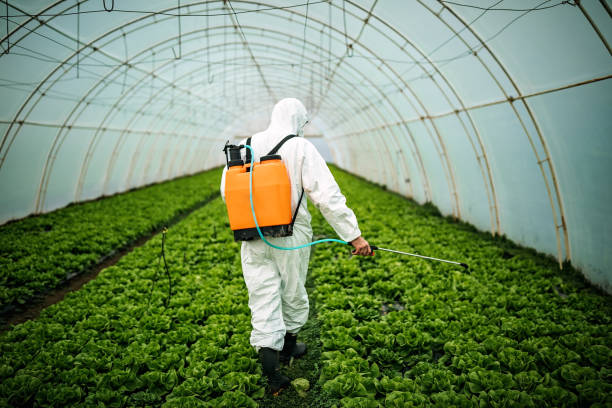 Best Residential Pest Control  in Groveville, NJ