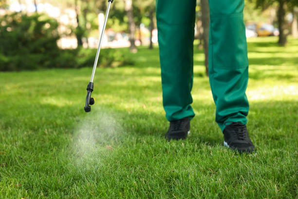 Best Wasp Removal Services  in Groveville, NJ