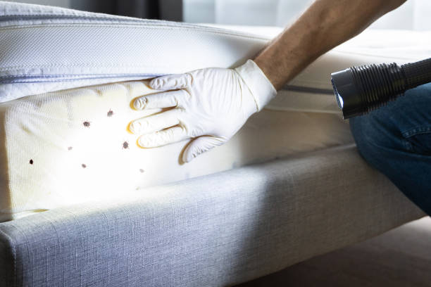 Best Best Pest Control Companies  in Groveville, NJ
